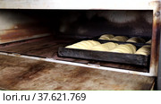 The dough embedded in the molds is ready for baking loaves. Стоковое видео, видеограф Igor Bastrakov / Фотобанк Лори