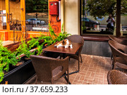Summer outdoor cafe and a cat on the table (2021 год). Стоковое фото, фотограф Владимир Ушаров / Фотобанк Лори