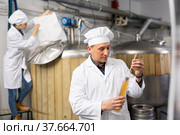 Brewery owner checking alcoholic content in beer with hydrometer. Стоковое фото, фотограф Яков Филимонов / Фотобанк Лори
