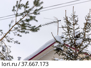 TV antenna on the roof of a rural house. Стоковое фото, фотограф Юрий Шурчков / Фотобанк Лори