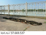 Промоина на Рождественской набережной, Краснодар (2021 год). Стоковое фото, фотограф Мария Кылосова / Фотобанк Лори