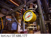 Caustic chemical plant. Yokogawa soduim hypochlorite flow meter. Low depth of field. Стоковое фото, фотограф Alexey Rezvykh / Фотобанк Лори