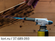 Universal gas burner for firing, brazing, ignition. Flame gun. Стоковое фото, фотограф Андрей Никитин / Фотобанк Лори
