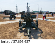 Волгоградская область, Средняя Ахтуба, Россия. Лёгкая малокалиберная зенитная установка ЗУ-23 в парке Патриот. (2021 год). Редакционное фото, фотограф Андрей Цыганков / Фотобанк Лори
