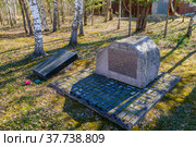 Московская область, Можайск, памятник венгерским военнопленным Великой отечественной войны (2022 год). Редакционное фото, фотограф glokaya_kuzdra / Фотобанк Лори