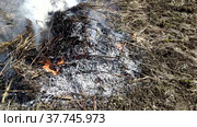 A lot of garbage is burning. Spring garbage collection. Burning garbage in a summer cottage. Gardening work in the spring. Стоковое видео, видеограф Лилия Фролова / Фотобанк Лори