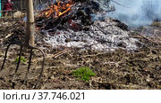 Grass is burning in the garden. Harvesting in the garden. Bonfire with trash. Burning garbage in the area. (2020 год). Редакционное видео, видеограф Лилия Фролова / Фотобанк Лори