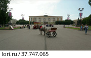 Катание на пони. time-lapse 4К (2017 год). Редакционное видео, видеограф Руслан Лесков / Фотобанк Лори