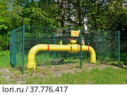 Задвижка на трубе газопровода. Стоковое фото, фотограф Ирина Борсученко / Фотобанк Лори