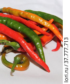 Spicy chili. Astrakhan pepper. Стоковое фото, фотограф Елена Бобкова / Фотобанк Лори