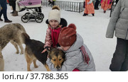 Дети гладят на улице бездомную собаку. Children pet a stray dog on the street. Редакционное видео, видеограф Мария / Фотобанк Лори