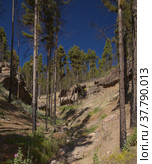 Gran Canaria, landscape of the mountainous part of the island in the Nature Park Tamadaba (2022 год). Стоковое фото, фотограф Tamara Kulikova / Фотобанк Лори