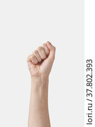 Female hand in strong fist gesture on white. Стоковое фото, фотограф Ярослав Данильченко / Фотобанк Лори