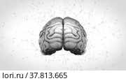3d render of a human brain rotating on the white background with digital elements. Abstract isolated and animated brain on the blank backdrop. Neurology and science concept for research laboratories. Стоковое видео, видеограф Олег Грач / Фотобанк Лори