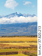 Calm rural autumn landscape with yellowed fields against the background of mountain snow-capped peaks with low clouds on a sunny day. Buryatia, Eastern Sayan Mountains, Baikal region, Tunka Valley. Стоковое фото, фотограф Виктория Катьянова / Фотобанк Лори