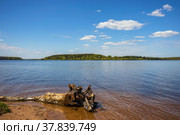 Озернинское водохранилище в Рузском районе Московской области, Россия (2022 год). Стоковое фото, фотограф Диана Лукьянова / Фотобанк Лори