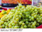 Bunches of kish-mish grapes in the store. Стоковое фото, фотограф Яков Филимонов / Фотобанк Лори