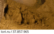 Животноводческая ферма. Переработка навоза, разделение на фракции. A livestock farm. Processing of manure, separation into fractions. Стоковое видео, видеограф Евгений Романов / Фотобанк Лори