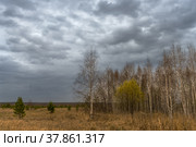 Весенний пейзаж с просыпающимся от мороза лесом, низкими серыми облаками и летящей стаей птиц. Россия, Урал. Стоковое фото, фотограф Ольга Соколова / Фотобанк Лори