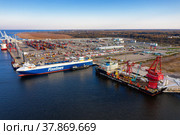 Санкт-Петербург, многофункциональный морской перегрузочный комплекс «Бронка». Контейнеровоз под разгрузкой. Вид с воздуха. St. Petersburg, multifunctional marine transshipment complex "Bronka". Container ship under unloading. Aerial view. (2021 год). Редакционное фото, фотограф Евгений Романов / Фотобанк Лори