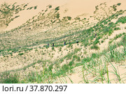 Tourist route through the protected desert landscape Sarykum, Dagestan (2022 год). Редакционное фото, фотограф Евгений Харитонов / Фотобанк Лори