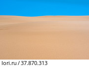 Lifeless sandy desert landscape under blue sky (2022 год). Редакционное фото, фотограф Евгений Харитонов / Фотобанк Лори