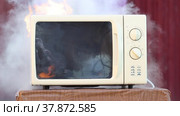 Electric fire after short circuit in wiring of microwave oven, home electrical appliance caused burning. Стоковое видео, видеограф Владимир Григорьев / Фотобанк Лори