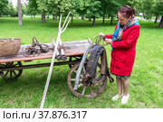 Женщина осматривает старую конскую сбрую. Ретро-оборудование для перевозки грузов на телеге (2022 год). Редакционное фото, фотограф Александр Бушков / Фотобанк Лори