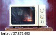 Ignition inside microwave oven due to malfunction or misuse. Стоковое видео, видеограф Владимир Григорьев / Фотобанк Лори