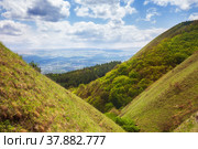 Meadows and forests on the slopes of the Borgustan Range, North Caucasus. Стоковое фото, фотограф Юлия Бабкина / Фотобанк Лори