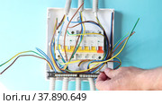 Use of stripper cutter when installing fuse box with circuit breakers in switchboard of consumer unit. Стоковое видео, видеограф Владимир Григорьев / Фотобанк Лори