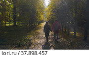 Петергоф осенью, Нижний парк. Влюбленная пара идет по аллее. Peterhof in autumn, Nizhniy Park. A couple in love is walking down the alley. (2021 год). Редакционное видео, видеограф Евгений Романов / Фотобанк Лори