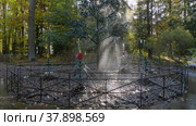 Петергоф, Нижний парк осенью. фонтан Дубок. Peterhof, Nizhniy Park in autumn. Fountain Oak. (2021 год). Редакционное видео, видеограф Евгений Романов / Фотобанк Лори