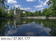Антроповский пруд в Москве. Солнечный день в июне (2022 год). Стоковое фото, фотограф Сергей Рыбин / Фотобанк Лори
