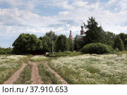 Смоленская церковь в Софрино и сельская дорога (2022 год). Редакционное фото, фотограф Дмитрий Неумоин / Фотобанк Лори