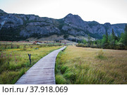 Окрестности Гейзерного озера. Кош-Агачский район горного Алтая. Стоковое фото, фотограф Евгений Мухортов / Фотобанк Лори