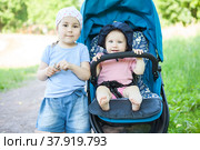 Сестры погодки на прогулке в парке, девочка сидит в коляске. Стоковое фото, фотограф Кекяляйнен Андрей / Фотобанк Лори