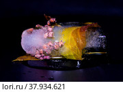 Ice with ninebark buds and leaves. Стоковое фото, фотограф Наталья Лагуткина / Фотобанк Лори