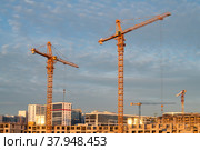 Краны на строительной площадке нового дома. Санкт-Петербург (2021 год). Стоковое фото, фотограф Анна Карасева / Фотобанк Лори
