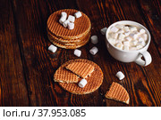 Waffles and Hot Cocoa with Marshmallow. Стоковое фото, фотограф Всеволод Белоусов / Фотобанк Лори
