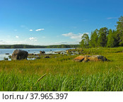 Берег Белого моря, остров Горелый, Керетская губа, Кандалакшкий залив, Карелия. Солнечный день в июле. Стоковое фото, фотограф Сергей Рыбин / Фотобанк Лори