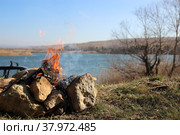 Огонь на природе (2019 год). Стоковое фото, фотограф Георгий Анастасиади / Фотобанк Лори