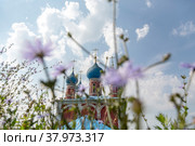 Купола православного храма Казанской иконы Божией Матери в городе Тутаеве (бывший Романов-Борисоглебск) на фоне разнотравья летним солнечным днем, Ярославская область, Россия (2022 год). Стоковое фото, фотограф Николай Винокуров / Фотобанк Лори