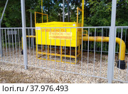 Газорегуляторный шкафной пункт на фоне клёнов (2022 год). Редакционное фото, фотограф Александр Селин / Фотобанк Лори