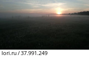 The camera flies over a morning misty meadow and climbs up for a panorama. Aerial photography. Стоковое видео, видеограф Ярославский Максим / Фотобанк Лори