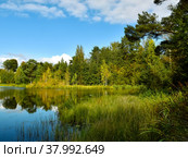 Ранняя осень на озере Вероярви (Ленинградская область, п. Токсово) (2021 год). Редакционное фото, фотограф Елена Павлова / Фотобанк Лори