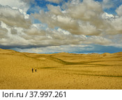 Mongolia. Sands Mongol Els, sandy dune desert, (2019 год). Стоковое фото, фотограф Александр Fanfo / Фотобанк Лори
