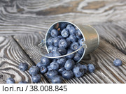 Ripe blueberries in a metal bucket. The bucket is overturned, the berries are scattered. On pine boards. Close-up. Стоковое фото, фотограф Vadzim Yakubovich / Фотобанк Лори