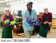 Vegetable warehouse workers preforming dance in workplace. Стоковое фото, фотограф Яков Филимонов / Фотобанк Лори