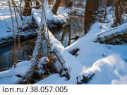 Зимняя речушка. Стоковое фото, фотограф Александр Салук / Фотобанк Лори